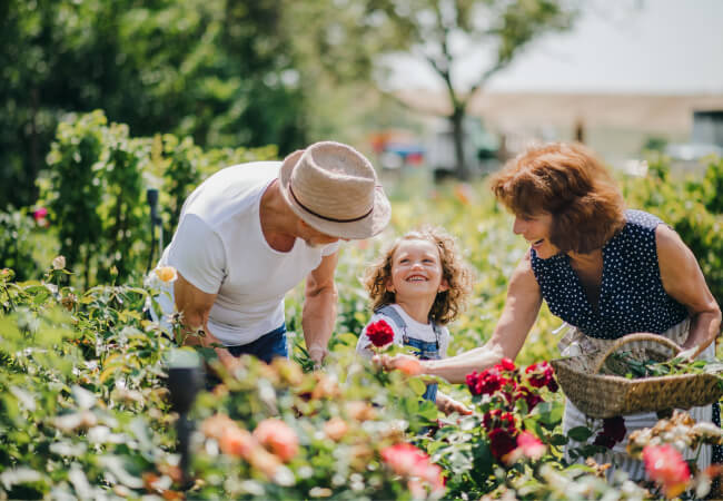 Working On Your Garden? Avoid Back Pain with these Tips